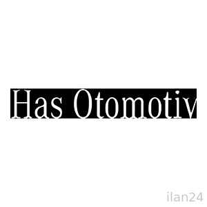 HAS OTOMOTİV YATIRIM VE PAZARLAMA A.Ş