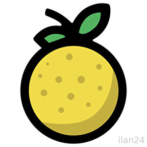 Lemon Academy
