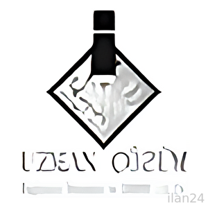 UZMAN ÇÖZÜM DENETİM VE MALİ MÜŞAVİRLİK ANONİM ŞİRKETİ